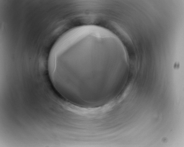 X0000103320035200809192151