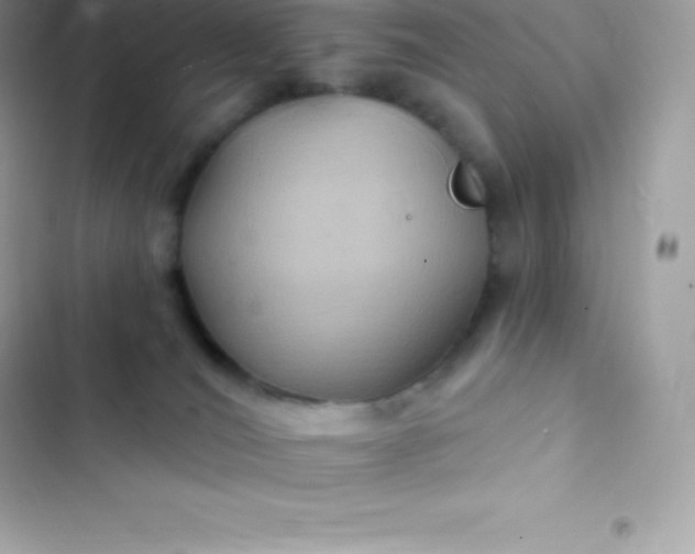 X0000103320036200809192151