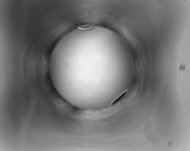 X0000103320037200809192151