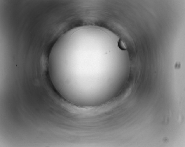 X0000103320038200809192151