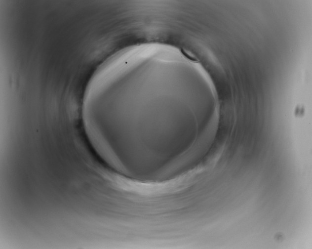 X0000103320039200809192151