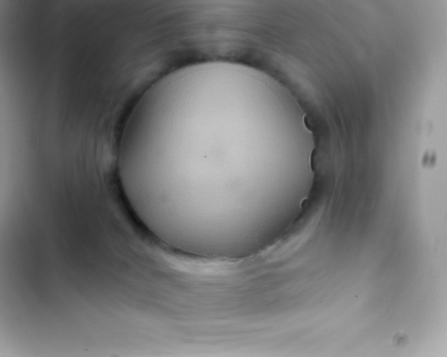 X0000103320040200809192151