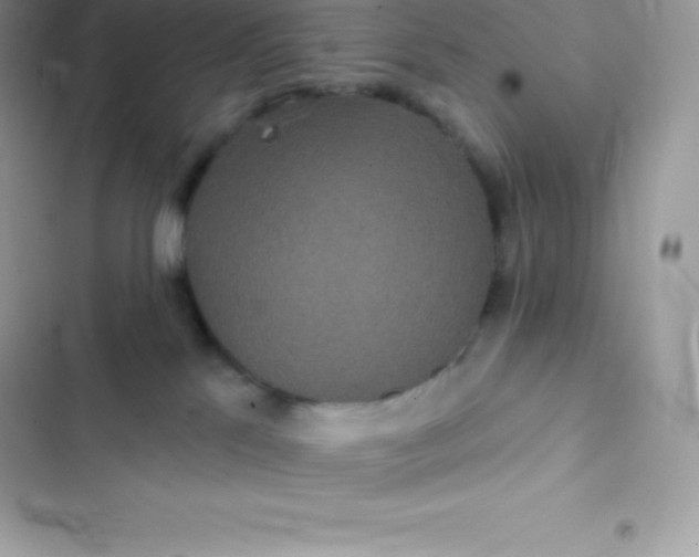 X0000103320041200809192150