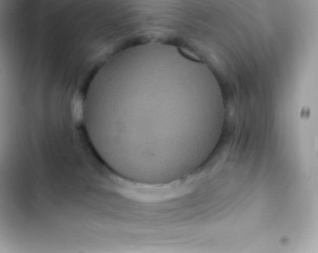 X0000103320042200809192150