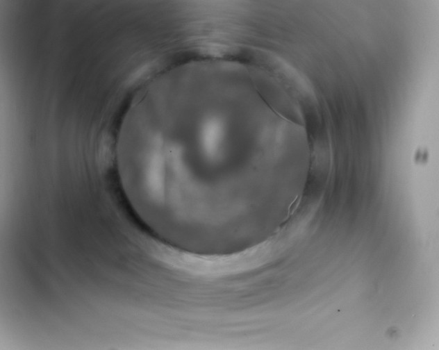 X0000103320043200809192150