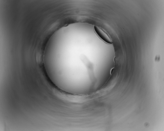 X0000103320044200809192150