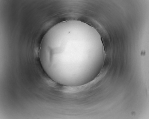 X0000103320045200809192150