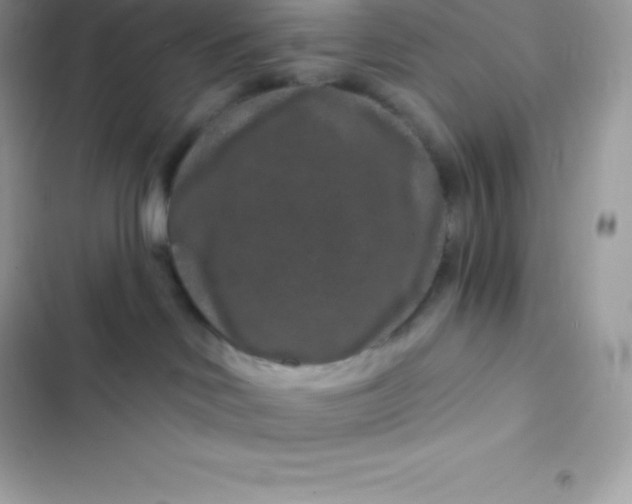 X0000103320046200809192150