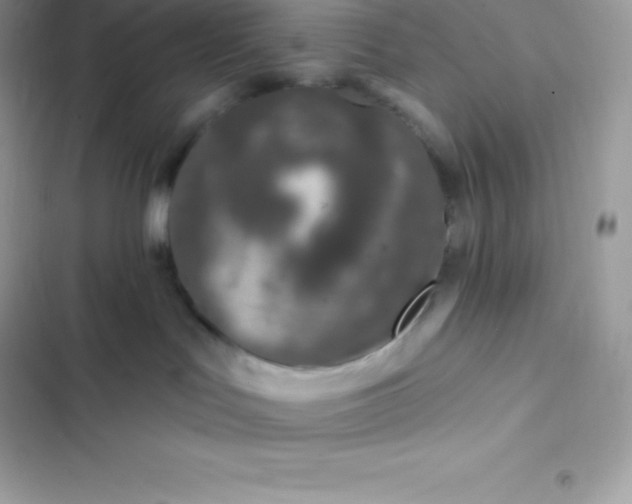 X0000103320047200809192150