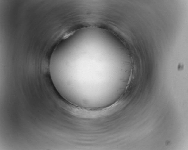 X0000103320048200809192150