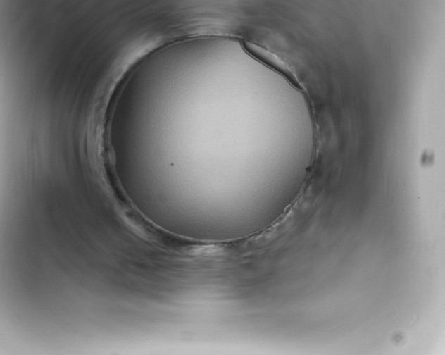 X0000103320050200809192150