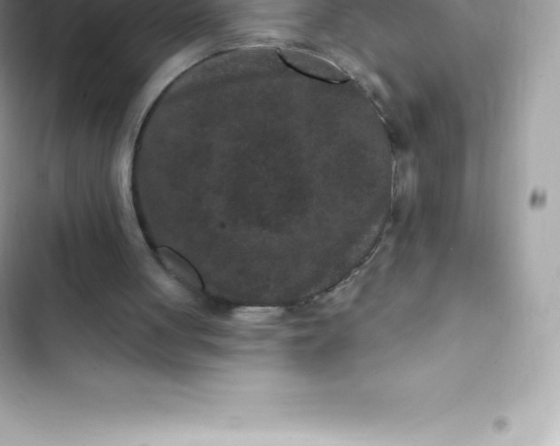 X0000103320051200809192150