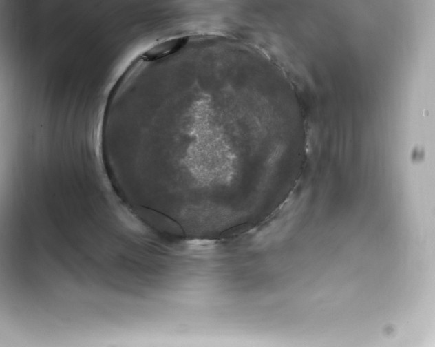 X0000103320052200809192150