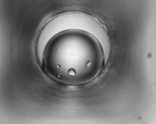 X0000103320053200809192150