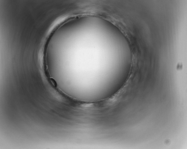 X0000103320054200809192150