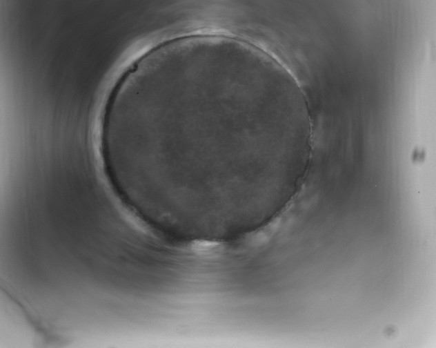 X0000103320055200809192150