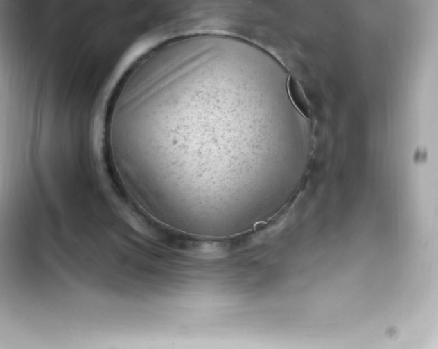 X0000103320056200809192150