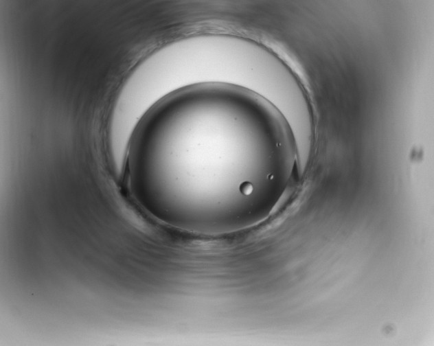 X0000103320057200809192150