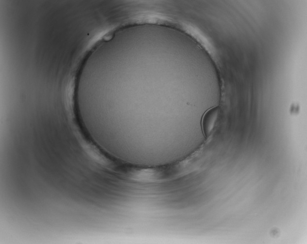 X0000103320058200809192150