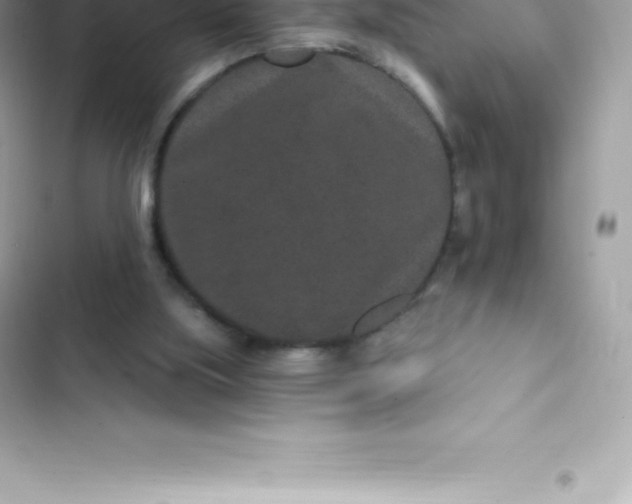 X0000103320059200809192150