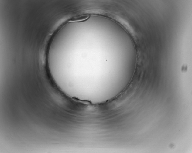 X0000103320060200809192150