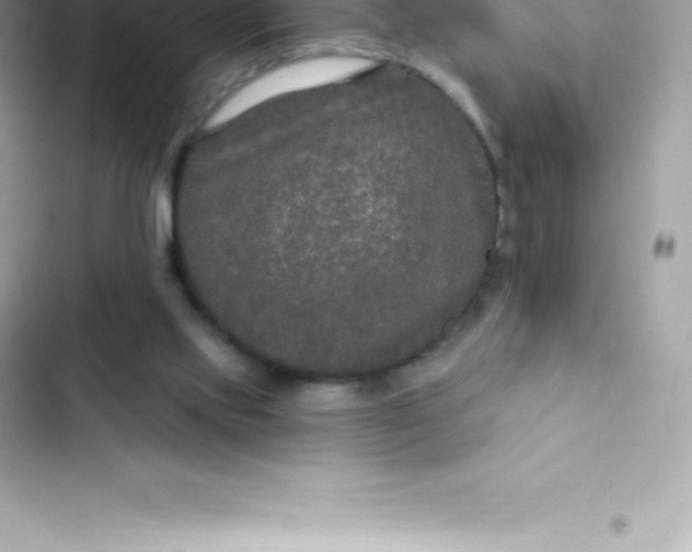 X0000103320061200809192150