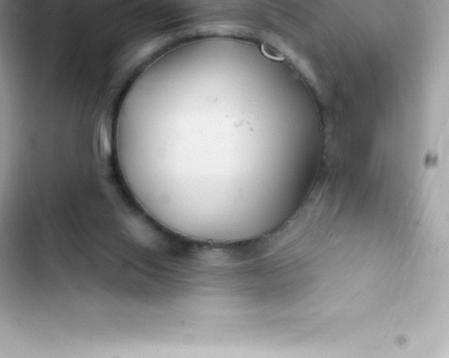 X0000103320062200809192150