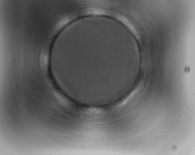 X0000103320063200809192150