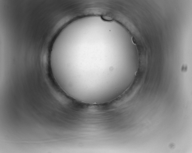 X0000103320064200809192150