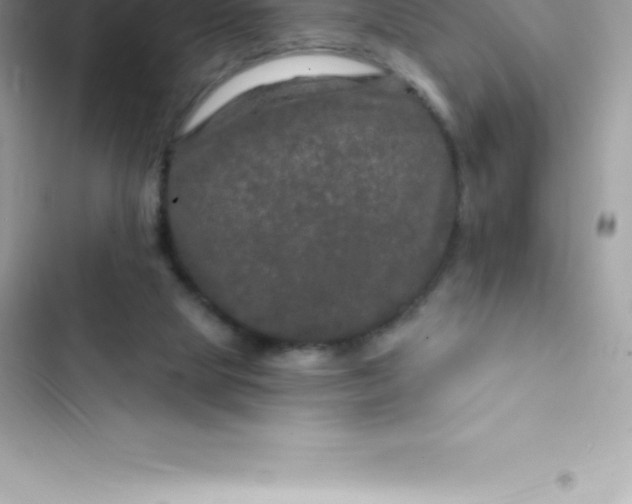 X0000103320065200809192150