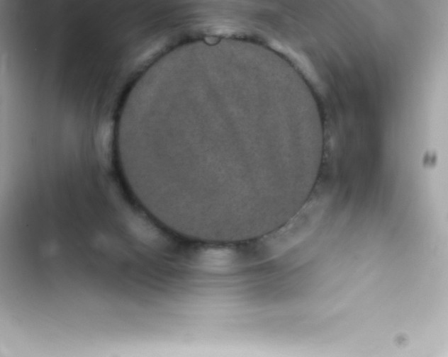 X0000103320066200809192150