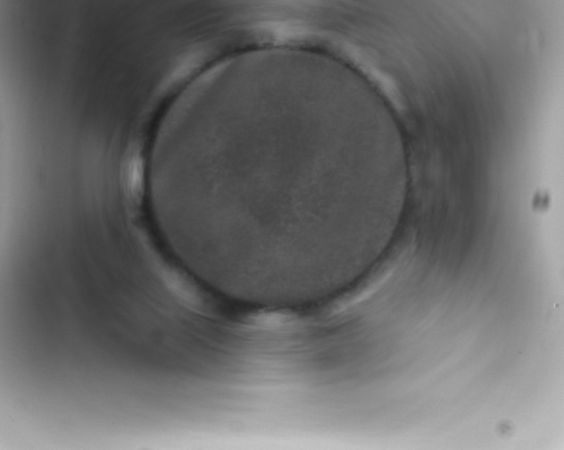 X0000103320067200809192150