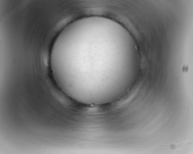 X0000103320068200809192150