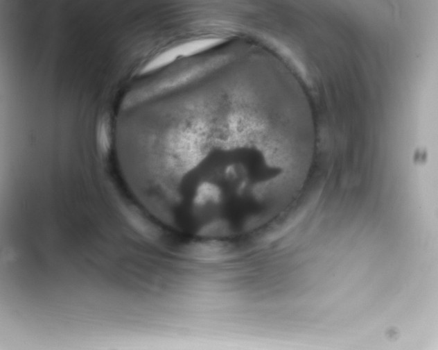 X0000103320069200809192150