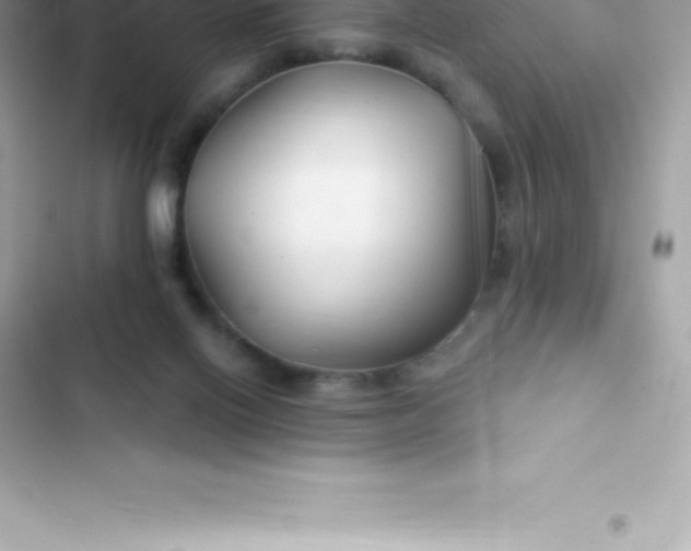 X0000103320070200809192150