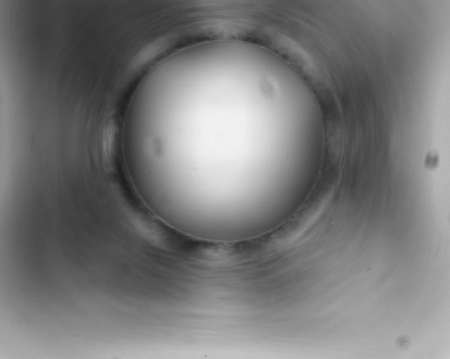 X0000103320071200809192150