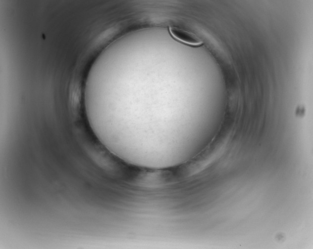 X0000103320072200809192150