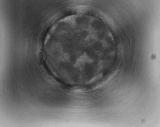 X0000103320073200809192150