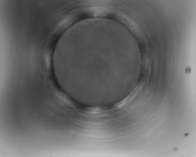 X0000103320074200809192150