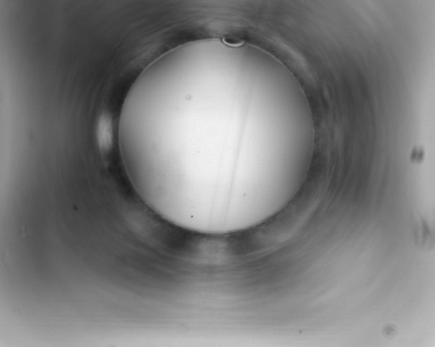 X0000103320075200809192150