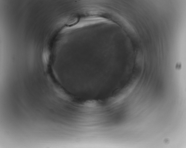 X0000103320076200809192150