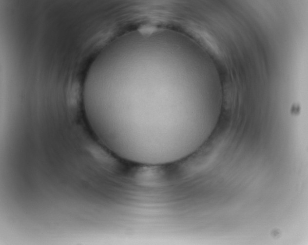 X0000103320077200809192150