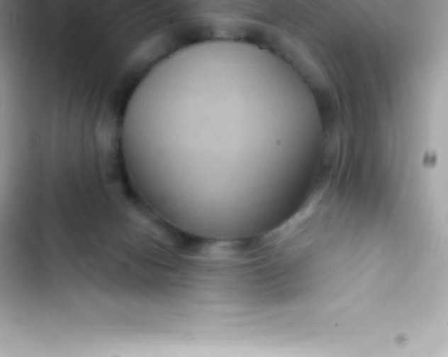 X0000103320078200809192150