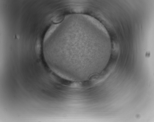 X0000103320080200809192150