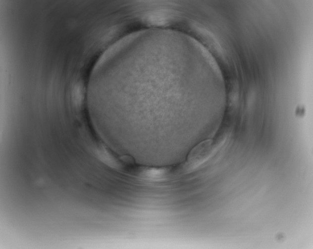 X0000103320081200809192150