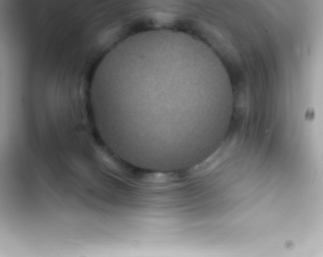 X0000103320082200809192150