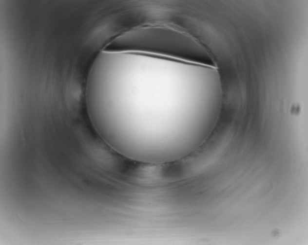 X0000103320084200809192150