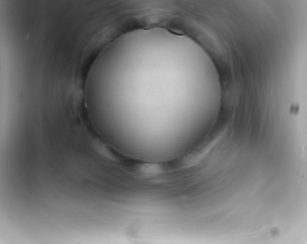 X0000103320085200809192150