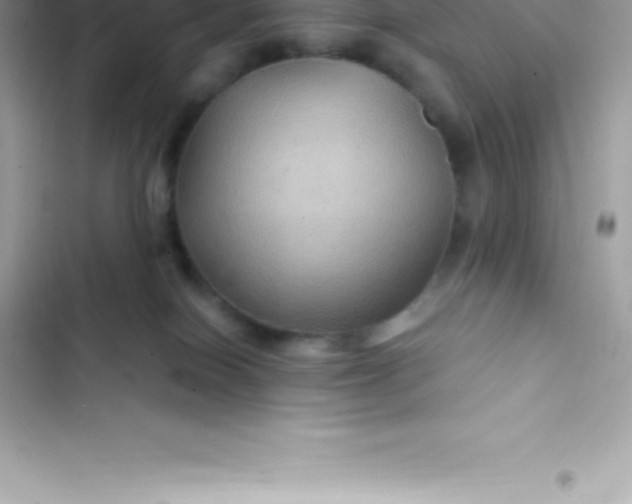 X0000103320086200809192150