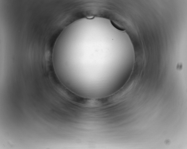 X0000103320087200809192150